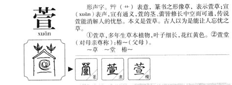 萱名字意思|萱的意思